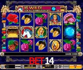 A Experiência Imersiva dos Cassinos Ao Vivo no bet14